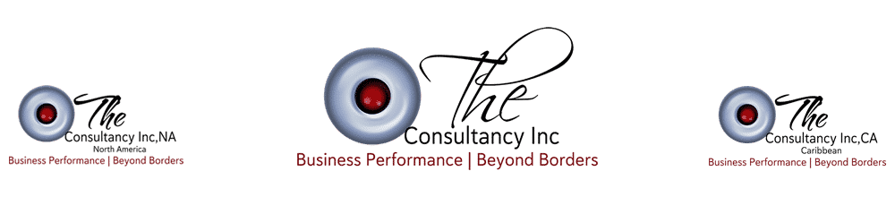 The Consultancy Inc CA
