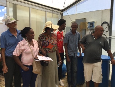 Climate-resilient farming project supporting Jamaican farmers and food security