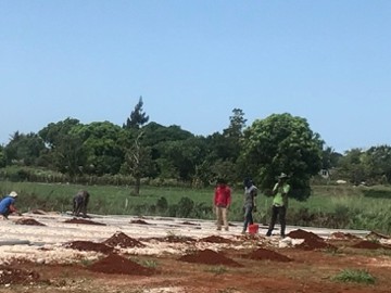 Climate-smart greenhouse farming at Grace Agro Processors in Jamaica