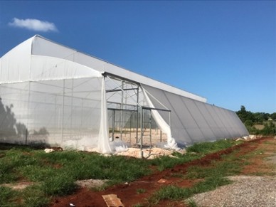 Hydroponic farming and automated irrigation at Grace Agro Processors