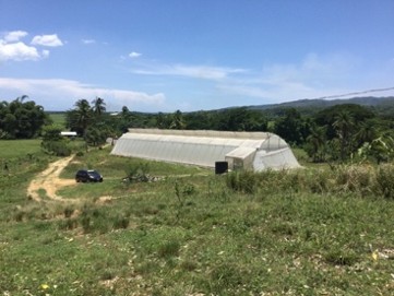 Climate-smart agriculture technology improving food production in Jamaica